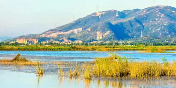 新會銀湖灣濕地公園