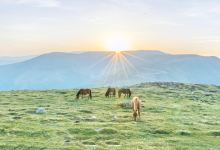 西台挂月峰景点图片