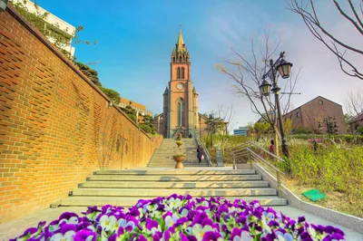 Myeongdong Cathedral