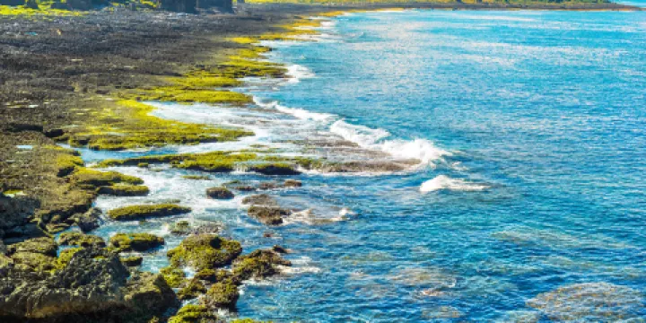 龍坑生態保護區