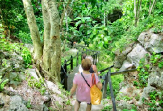 瓦拉希卡科斯生态保护区景点图片