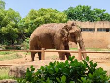 南昌动物园-南昌-贺朝夫斯基X