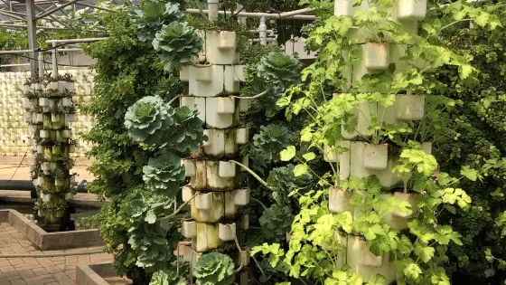 煙台市農博園