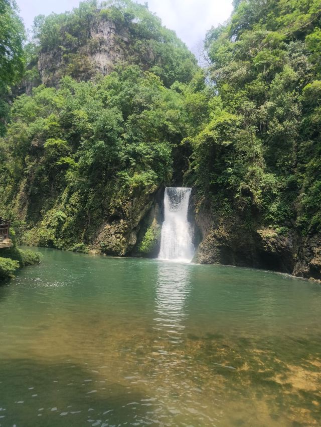 洒金公园旅行图片 1