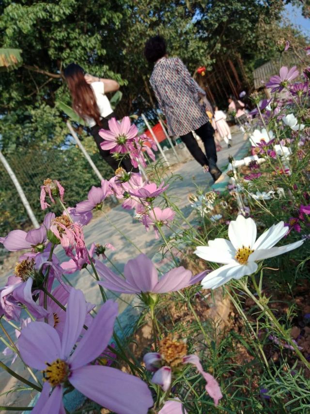 长春市百花园旅行图片 2