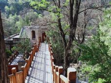 杨家岭革命旧址-延安-祥云8988