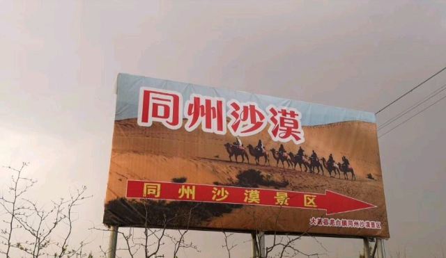 同州沙漠旅游景区旅行图片 2
