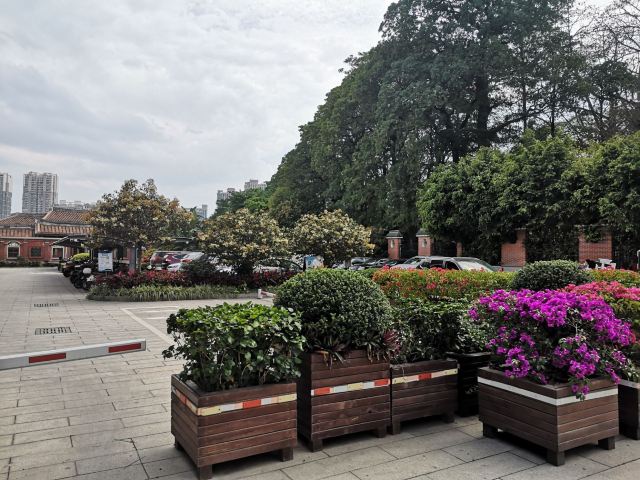 芝山公园旅行图片 1