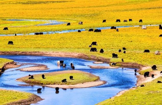 全域环境整治！阿坝州，更更更美了！