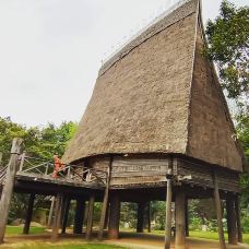 越南民族学博物馆-河内-翱翔的大鲨鱼