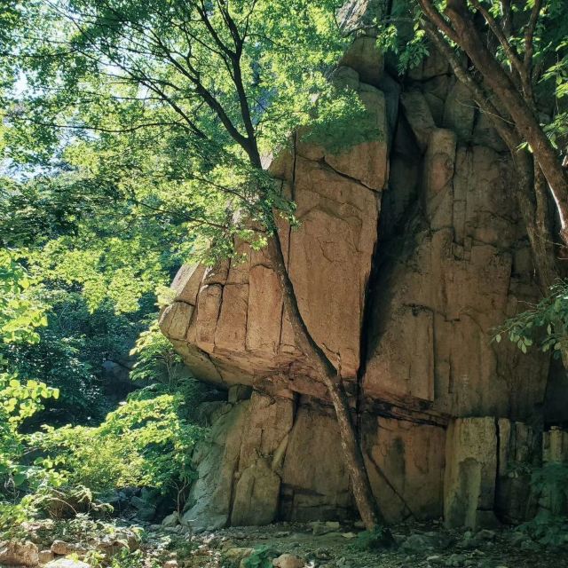 설악산 국립공원 Attractions - 속초 Travel Review -2020년 6월 2일Travel Guide - Trip.com