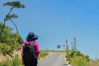 疫后自驾，赏花扑蝶撸羊，醉美大悟一日游
