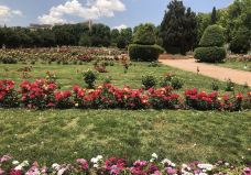 天堂花园-设拉子-zhulei831230