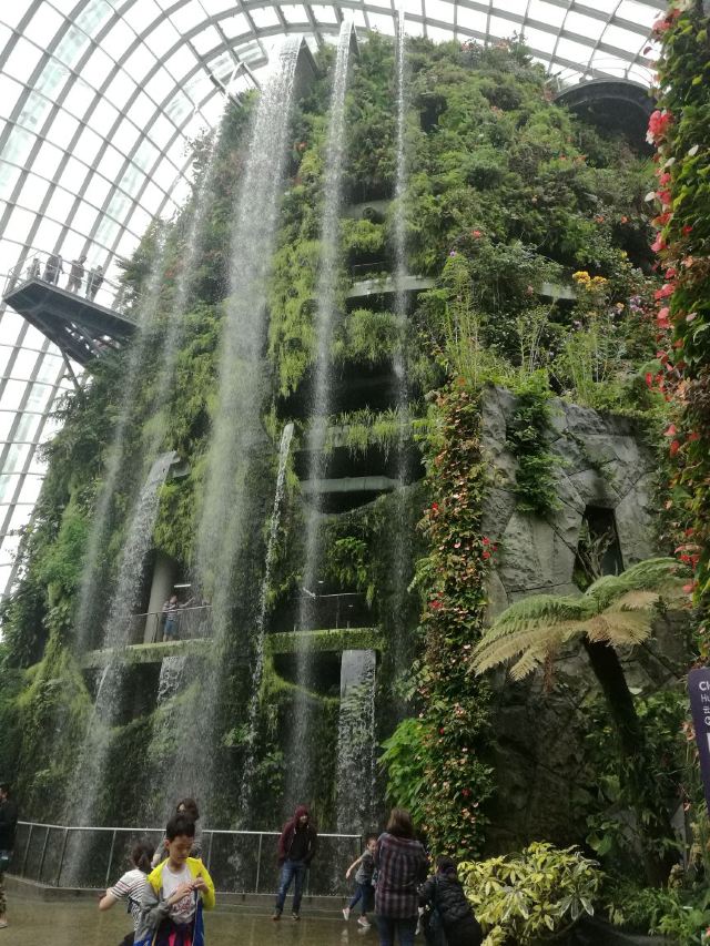 新加坡濱海灣花園