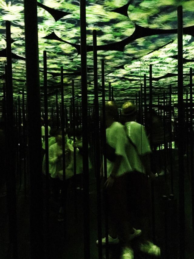 森大廈數字藝術館:teamLab Borderless