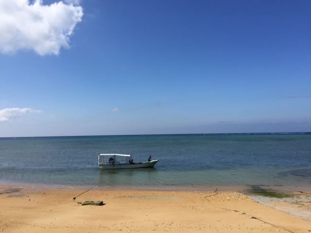 요네하라비치