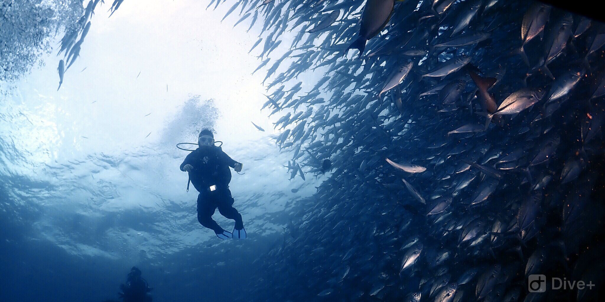 仙本那潜水考证之旅 全新的度假模式 感受海下世界