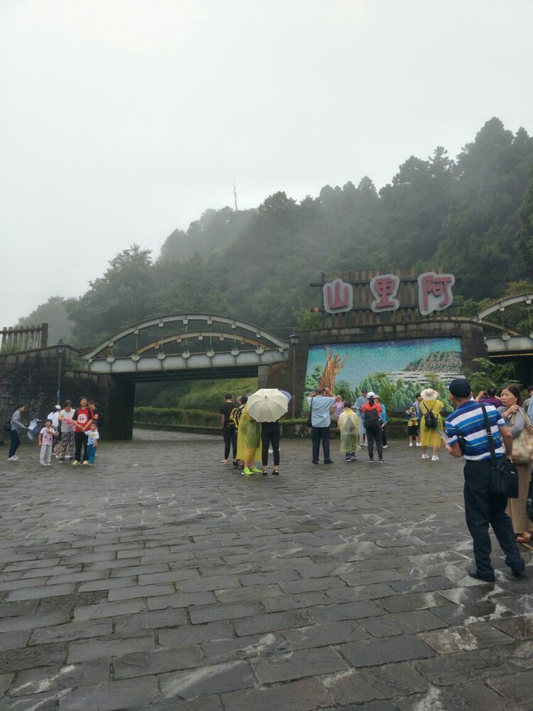 心醉阿里山