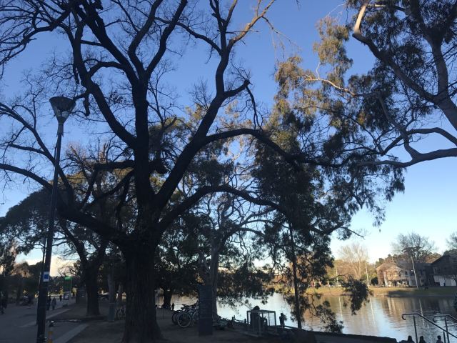 Yarra River