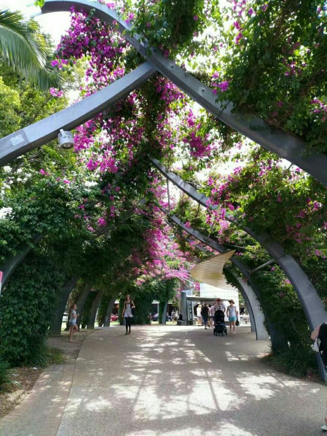 South Bank Parklands