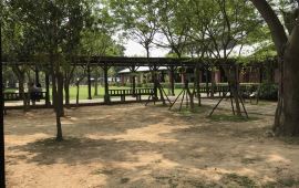 桃园桃园八德埤塘生态公园天气预报 历史气温 旅游指数 桃园八德埤塘生态公园一周天气预报 携程攻略