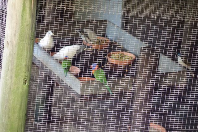 Melbourne Zoo