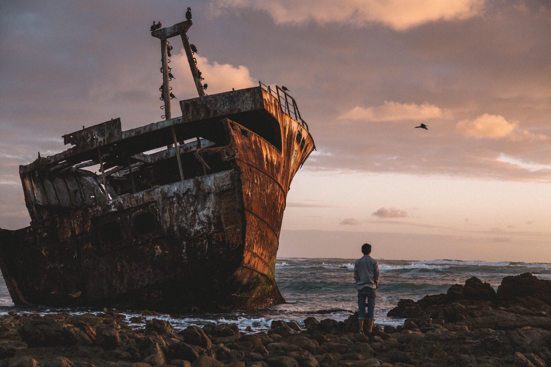 在南非，我们找到现实版的“当一艘船沉入海里”