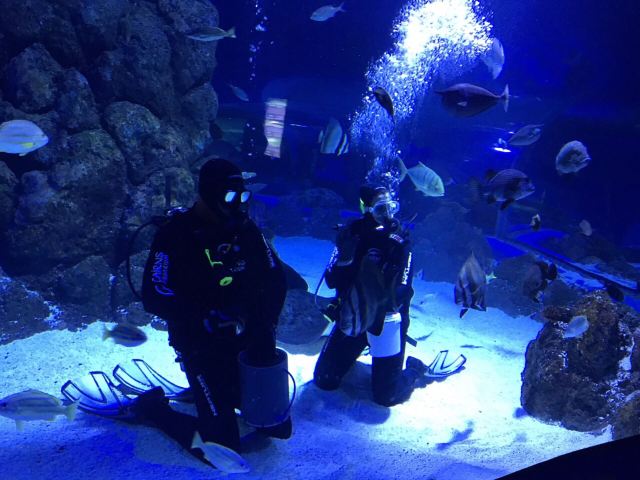Cairns Aquarium