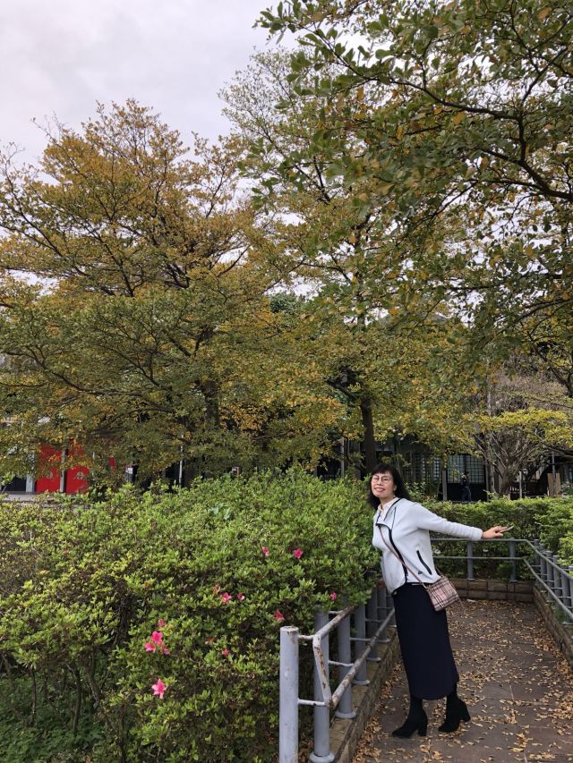 Taiwan University