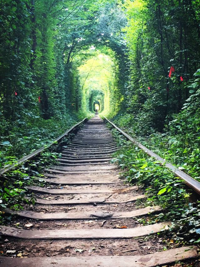 Tunnel of Love