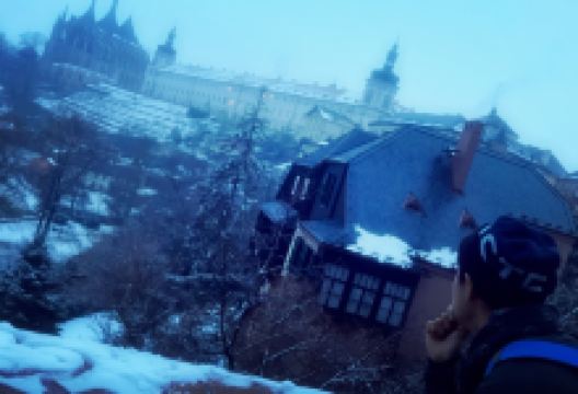 Pivnice Dacicky美食图片