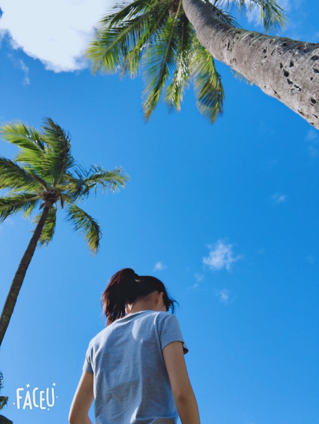 진주만
