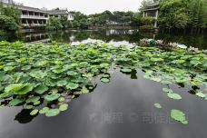 荔湾湖公园-广州-doris圈圈