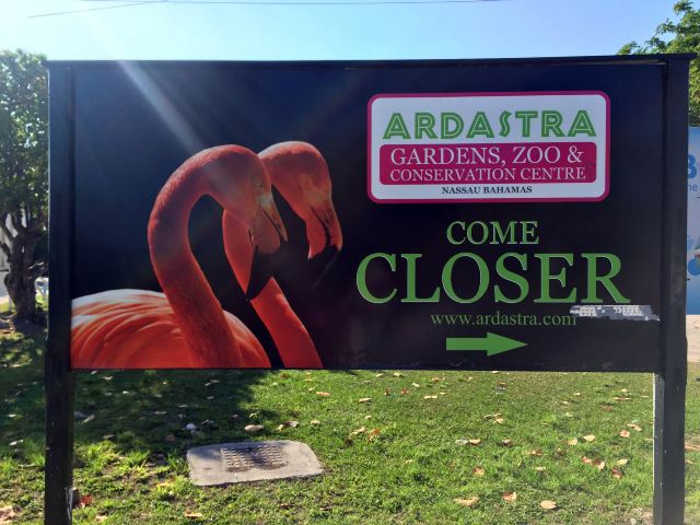 Ardastra Gardens, Zoo and Conservation Center