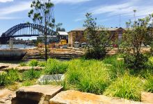 Sydney Picnic Company美食图片