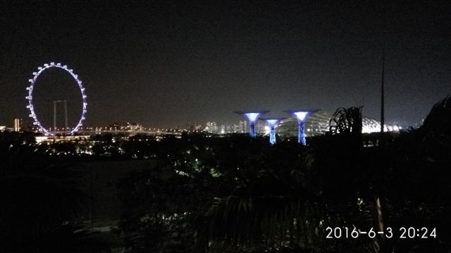 新加坡濱海灣花園