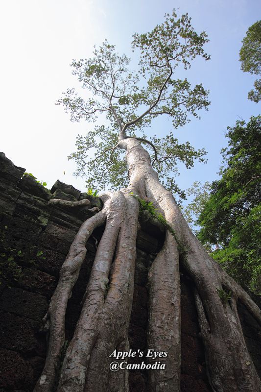Preah Khan