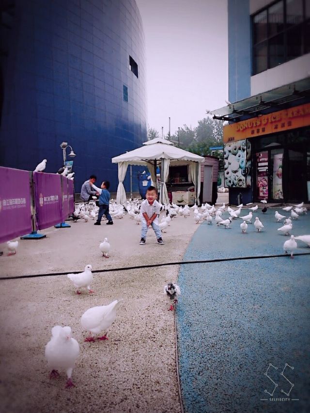 Qujiang Polar Ocean Park