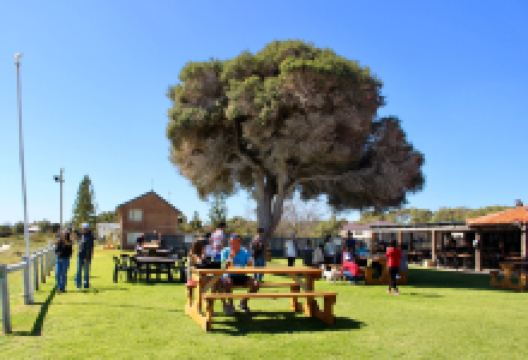 Endeavour Tavern美食图片