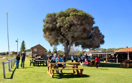 Endeavour Tavern