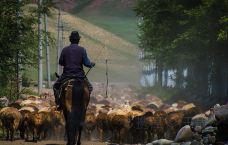 库尔德宁景区-巩留-doris圈圈