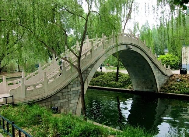 Purple Bamboo Park