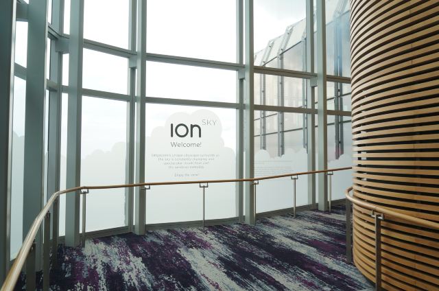 ION Sky