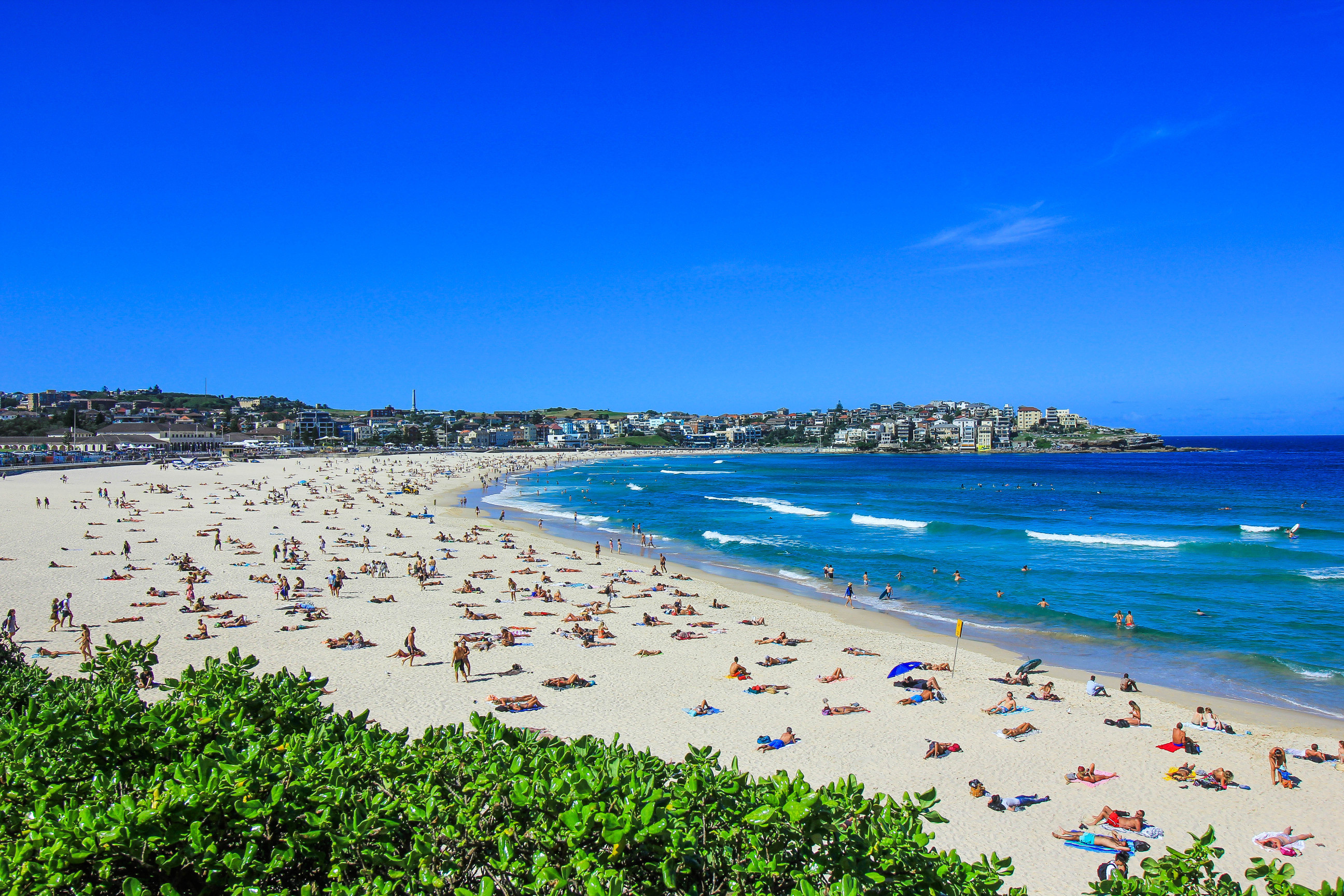 澳大利亚悉尼凯恩斯堪培拉11日10晚私家团