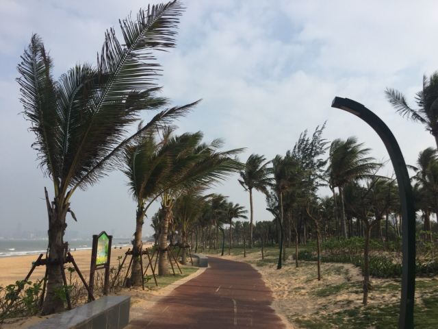 홀리데이 해변