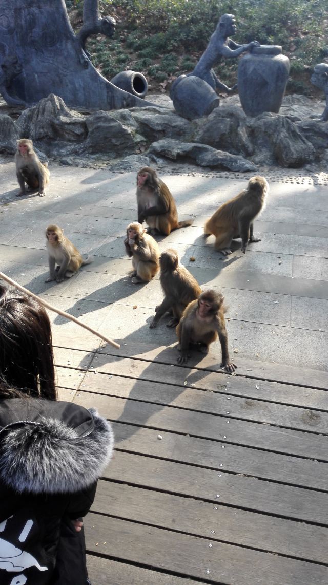 千島湖東南湖區景區