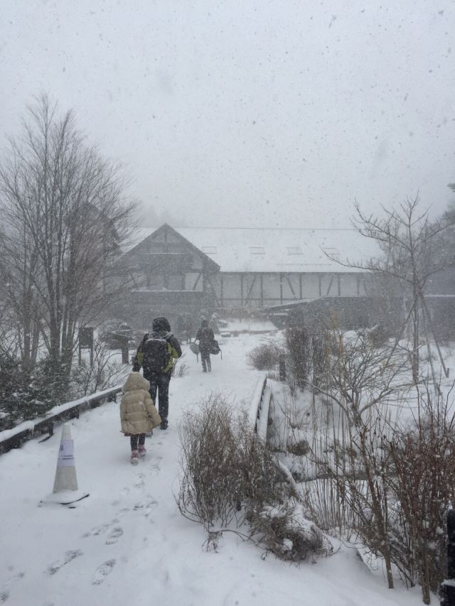 Rokko International Musical Box Museum