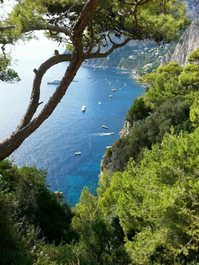 Island of Capri