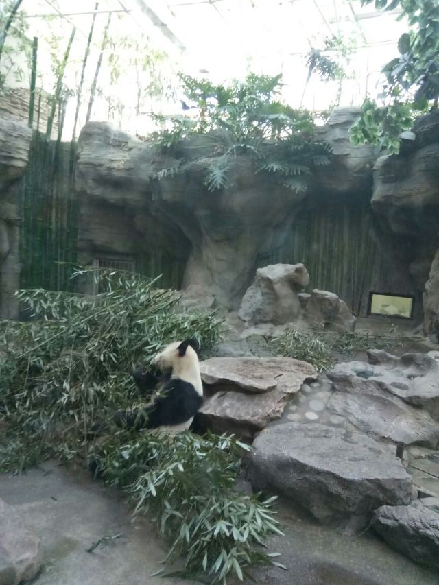 Beijing Zoo