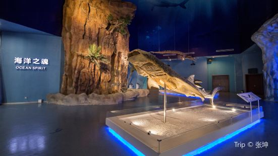Mystery of Life Museum